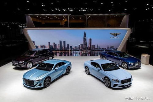 向未來(lái)出發(fā) 直擊2024粵港澳大灣區(qū)車(chē)展